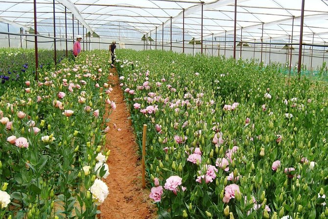 Coffee Class and DaLat Outskirt Tour - Elephant Waterfall comes with an important warning
