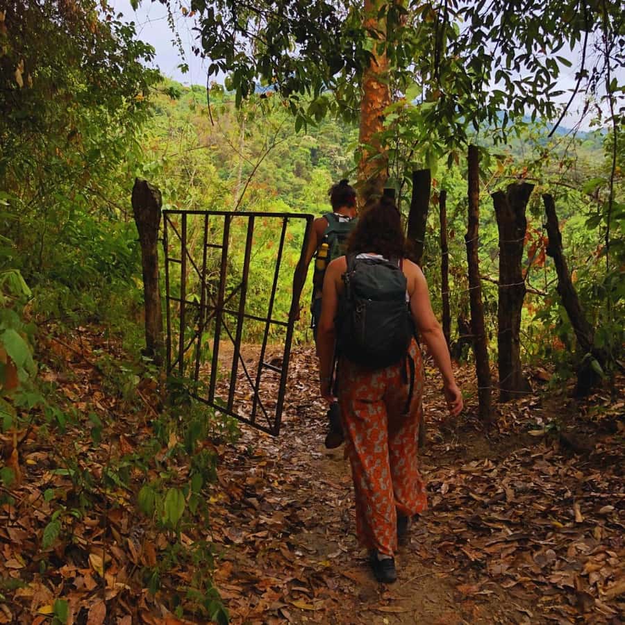 Coffee, Cocoa and Trekking Tour in Minca: Nature, Crops and Production - Three hours through forest and mountain scenery
