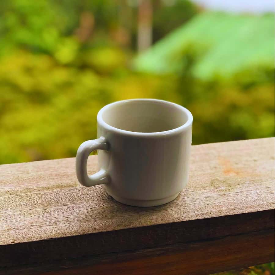 Coffee, Cocoa and Trekking Tour in Minca: Nature, Crops and Production - Finca San Rafael and the work behind coffee and cocoa