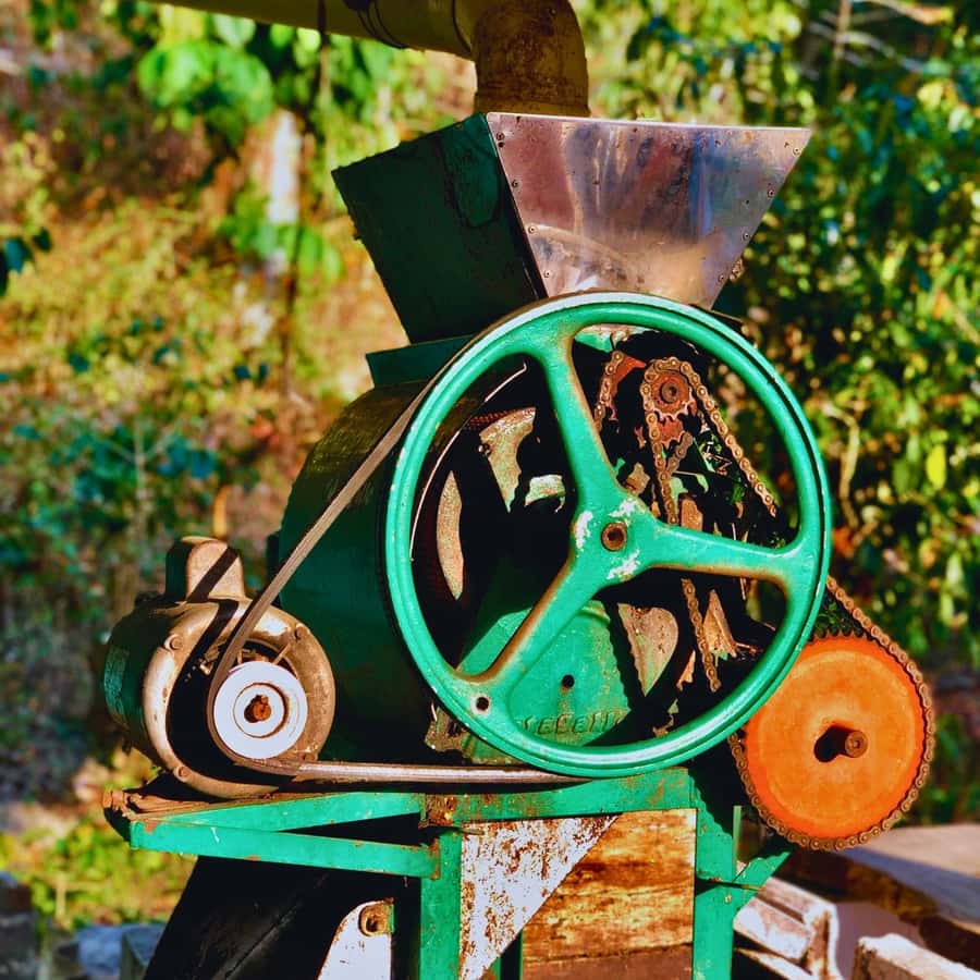 Coffee, Cocoa and Trekking Tour in Minca: Nature, Crops and Production - What to pack for the trail
