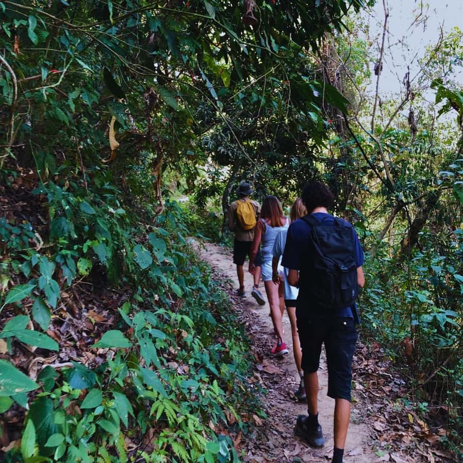 Coffee, Cocoa and Trekking Tour in Minca: Nature, Crops and Production - Who will enjoy this half-day outing