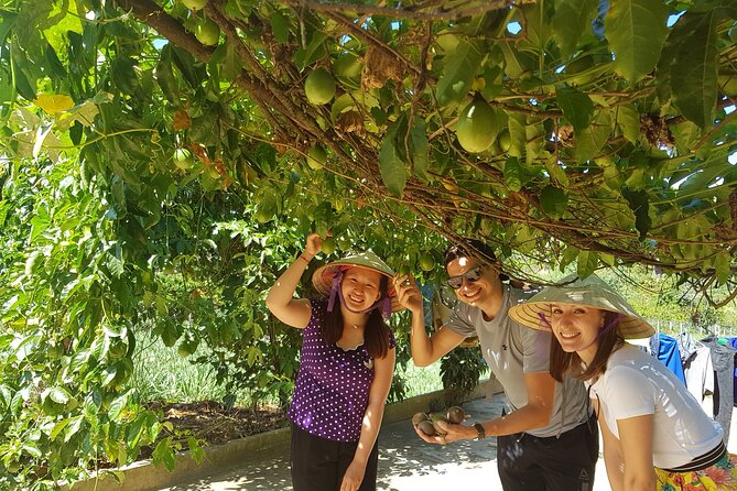 Coffee & Culture Experience _From Farm to Cup by Elon Farm - Linh An Pagoda brings in local culture