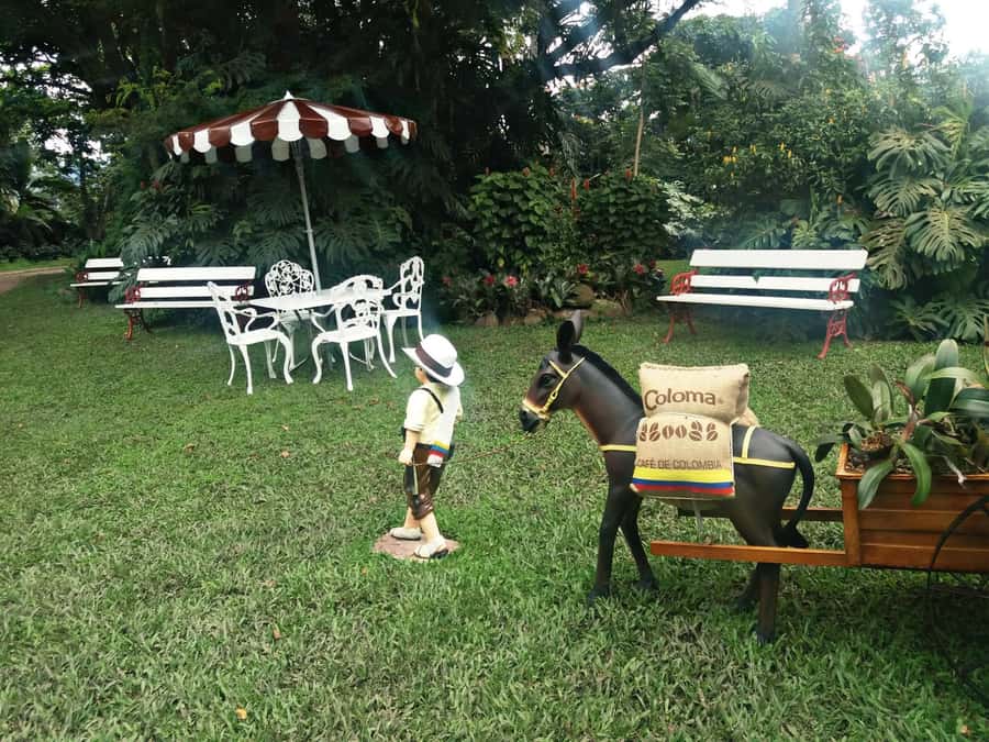 Coffee Experience: Hacienda Coloma Tour from Bogotá - Leaving Bogotá for the coffee country