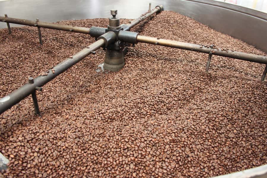 Coffee Experience: Hacienda Coloma Tour from Bogotá - Hacienda Coloma, from seedbed to roasted bean