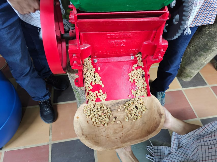 Coffee Experience with roasting show in Comuna 13 - Katherine and the family connection