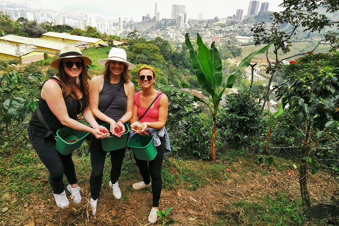 Coffee Farm & ATVs Private Tour in Medellin: Stunning Views & Fun - The scenic transfer from Guarne to the coffee farm