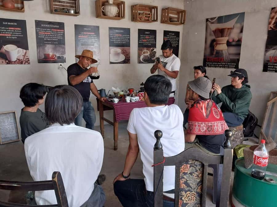 Coffee farm experience - From Antigua to a working coffee farm