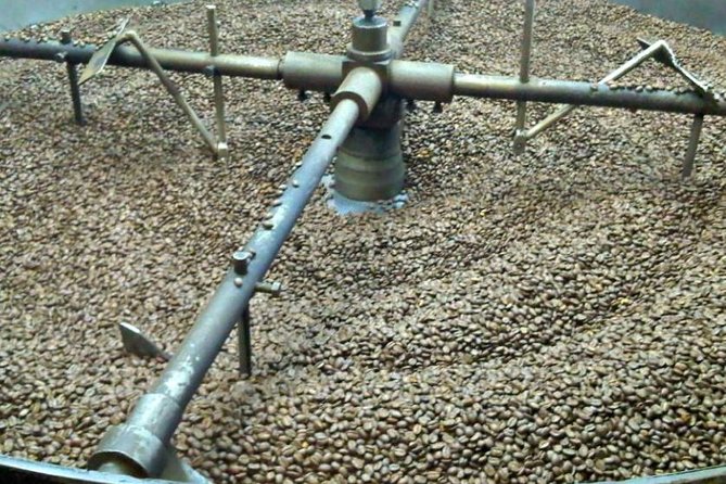 Coffee Farm Experience Private Day Tour - A coffee lesson that begins with the plant