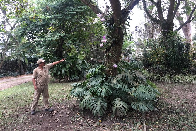 Coffee Farm Experience Private Day Tour - Coffee tasting and coffee liquor