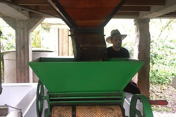 Coffee Farm Experience Private Day Tour - Adding lunch to the day