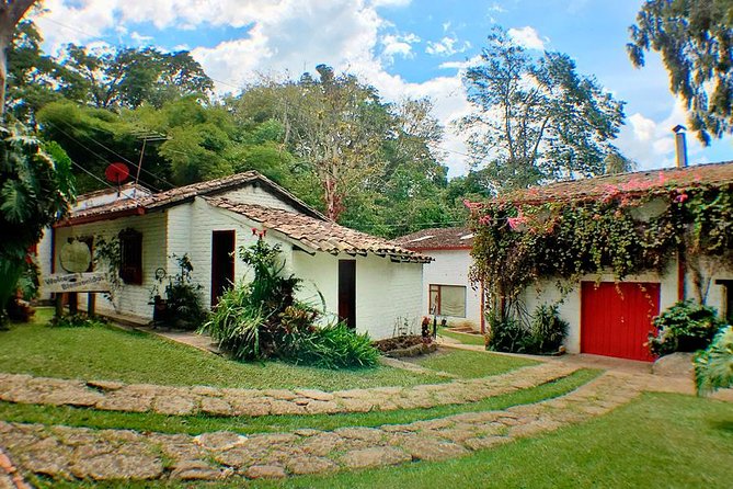 Coffee Farm Experience Private Day Tour - What private service adds