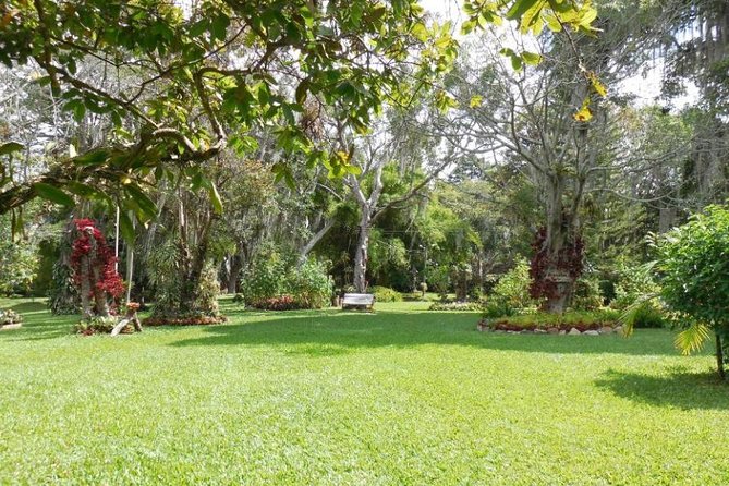 Coffee Farm Experience Private Day Tour - Is $110 a fair price?