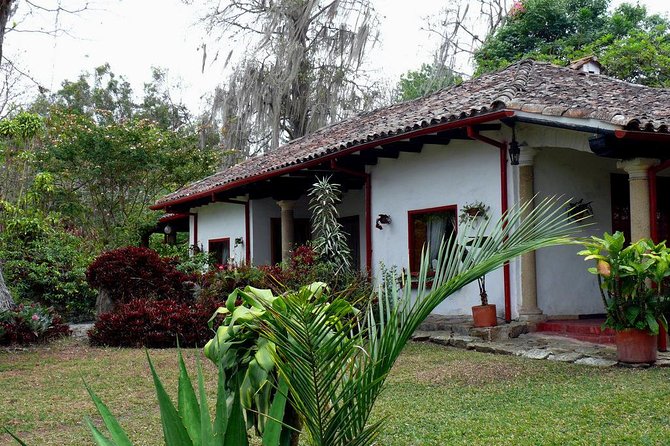 Coffee Farm Experience Private Day Tour - Fitness, timing, and practical details