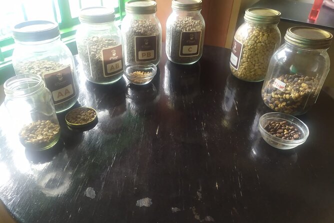 Coffee Farm Half-Day Tour in Kenya - A private outing with a personal feel