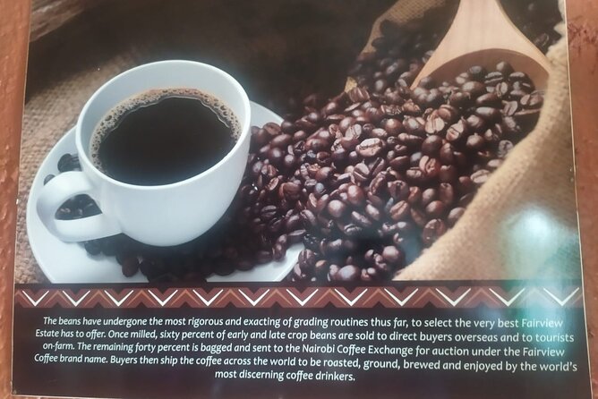 Coffee Farm Half-Day Tour in Kenya - The price, and the extra $30 question