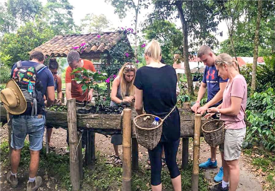 Coffee Farm Tour at Finca El Ocaso from Salento - A Working Coffee Farm, Not Just a Coffee Stop