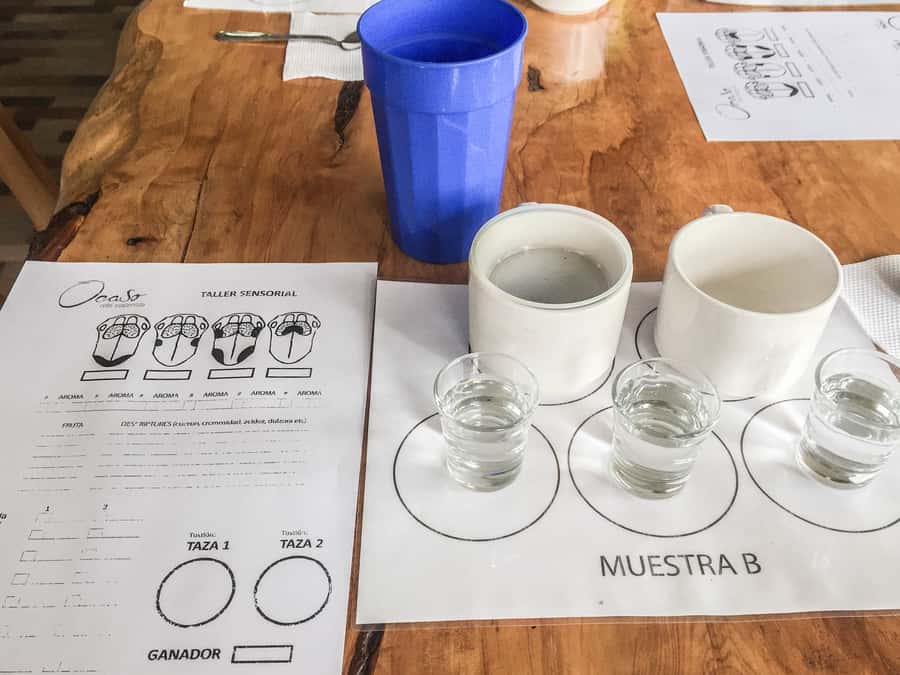 Coffee Farm Tour at Finca El Ocaso from Salento - Why the Small Group Size Matters