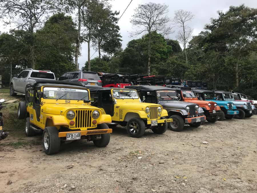Coffee Farm Tour at Finca El Ocaso from Salento - Who Will Enjoy This Farm Visit