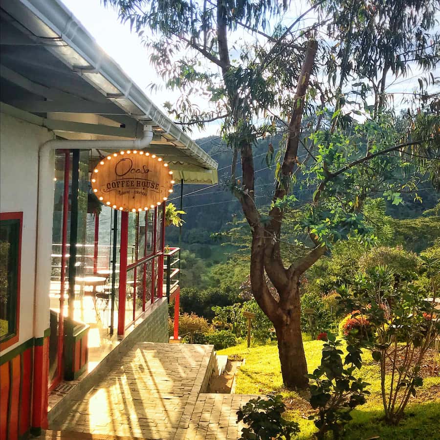 Coffee Farm Tour at Finca El Ocaso from Salento - Practical Details Before You Book