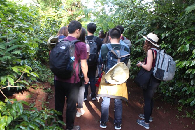 Coffee farm tour, coffee roasting and tasting experience - Group size, guides, and the feel of the visit
