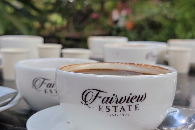 Coffee Farm Tour (Fairview) - From Nairobi streets to Fairview’s coffee fields