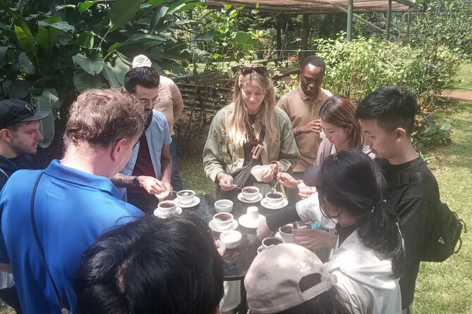 Coffee Farm Tour (Fairview) - The farm shop and coffee prices