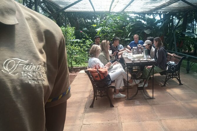 Coffee Farm Tour (Fairview) - What the $39 price really means