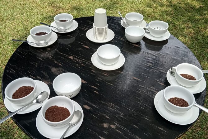Coffee Farm Tour (Fairview) - Timing your visit around a Nairobi stay