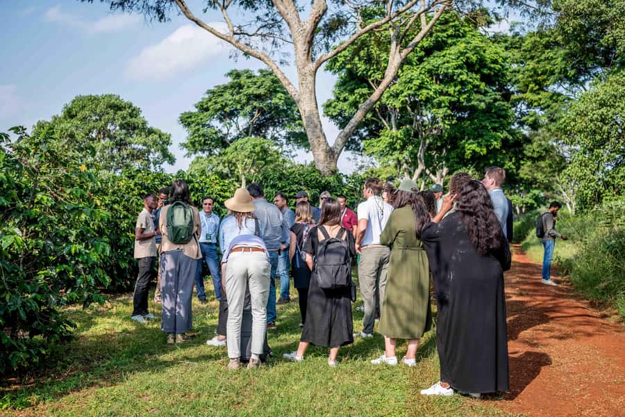 Coffee Farm Tour (Fairview) - Booking details worth keeping handy