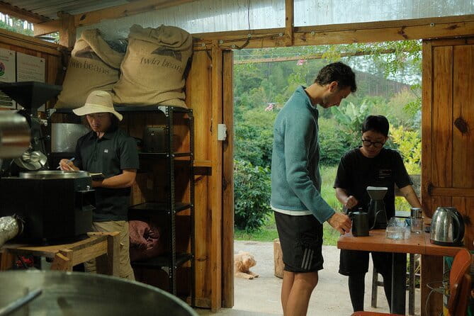 Coffee Farm Tour with Roasting & Tasting Workshop - Da Lat - Roasting Your Own Beans at Twin Beans Farm