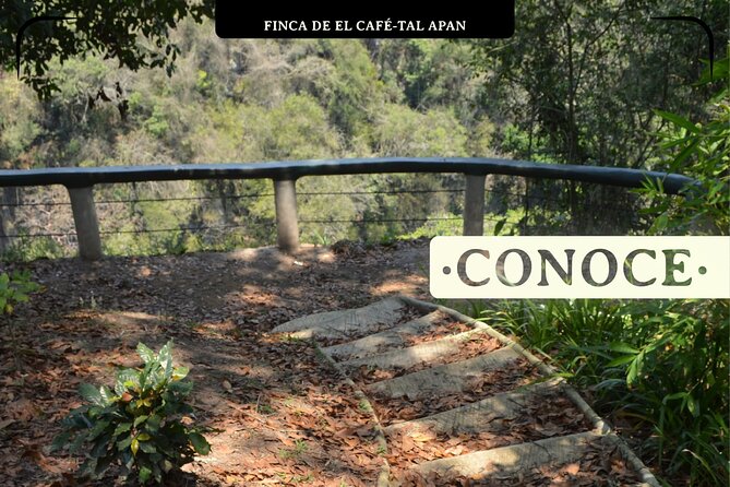 Coffee Museum and Coffee Tour el Cafe-tal apan - Should you book El Cafe-tal Apan?