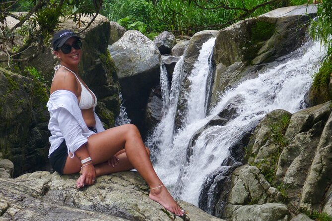 Coffee Plantation and River with Waterfalls in Puerto Rico - Coffee country begins at Hacienda Muñoz