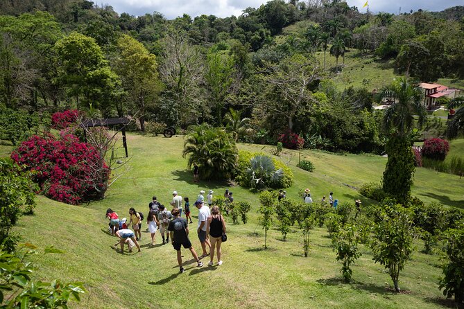 Coffee Plantation and River with Waterfalls in Puerto Rico - The plantation tour depends on the day