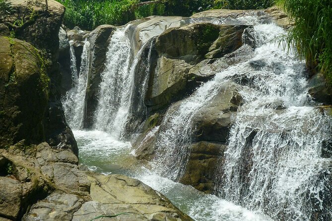 Coffee Plantation and River with Waterfalls in Puerto Rico - Guide quality and what to expect