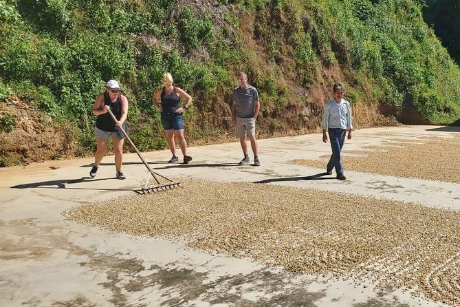 Coffee Plantation Experience - Key points to know before booking