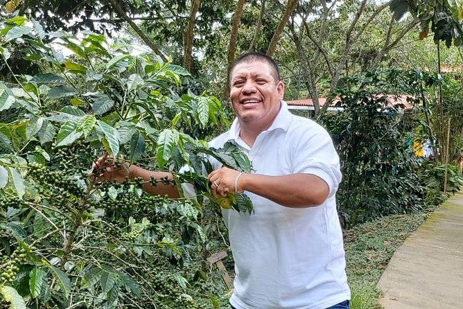 Coffee Plantation Experience - Private touring and the guide factor