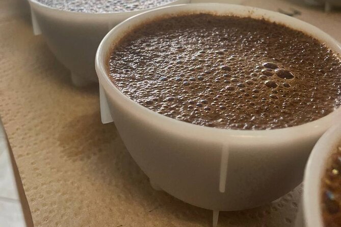 Coffee Sensory Training in Ljubljana - What you actually learn during seven hours
