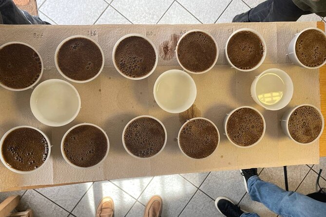 Coffee Sensory Training in Ljubljana - Lev’s teaching style and the private format