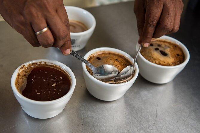 Coffee Tasting Experience - A 45-minute activity with a clear limit