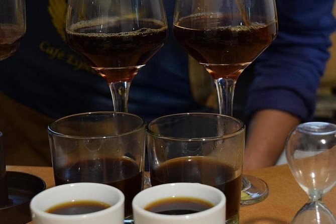 Coffee tasting experience at Divino Café Especial - A coffee lesson in the heart of La Candelaria