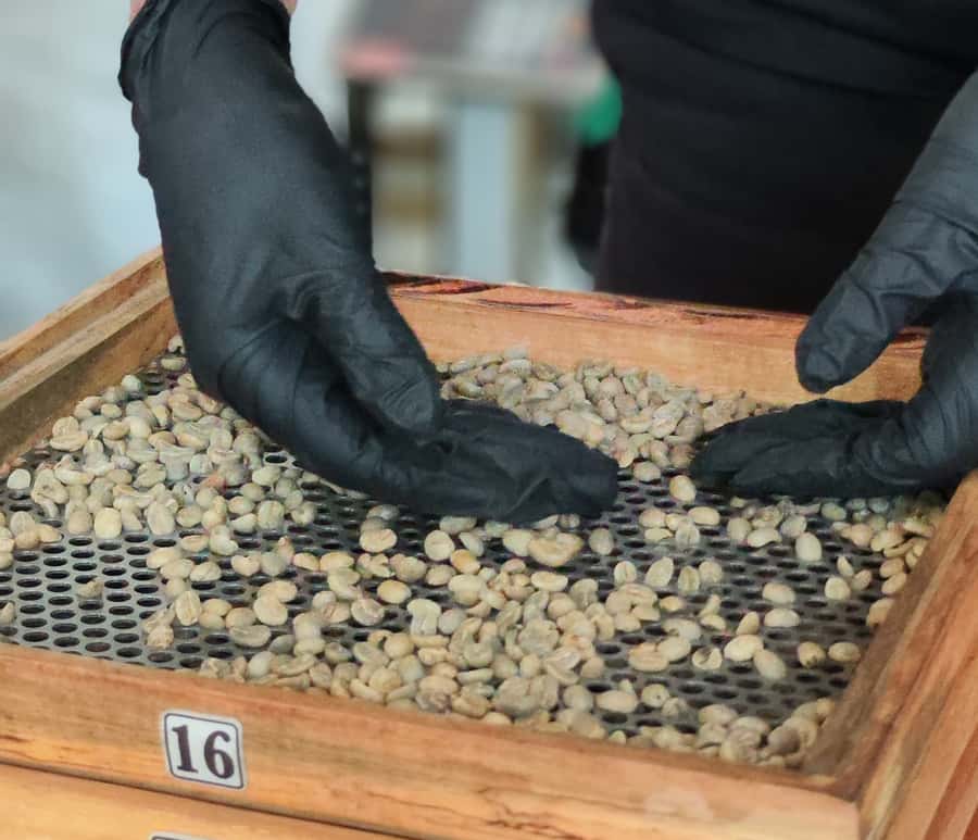 Coffee Tasting Experience in Cali - The value of a private, personal format