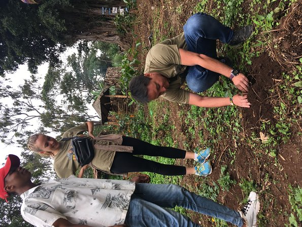 Coffee tour and Buffet Lunch with Kingstone Asilia (Arusha) - Why This Arusha Coffee Tour Works