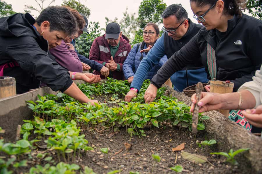 Coffee Tour at Finca El Ocaso Salento: Traditional Spanish Farm - A 90-minute coffee lesson in rural Salento