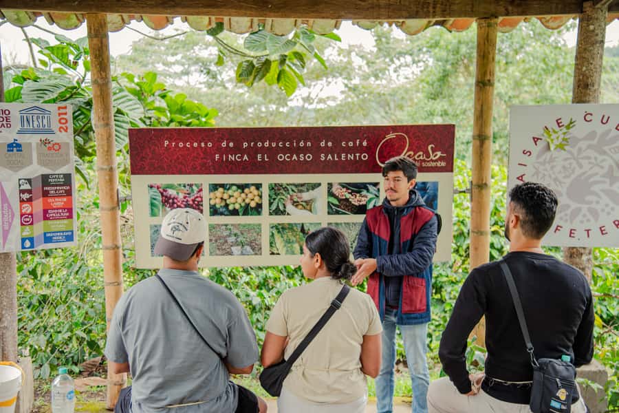Coffee Tour at Finca El Ocaso Salento: Traditional Spanish Farm - From farm product to commercial coffee