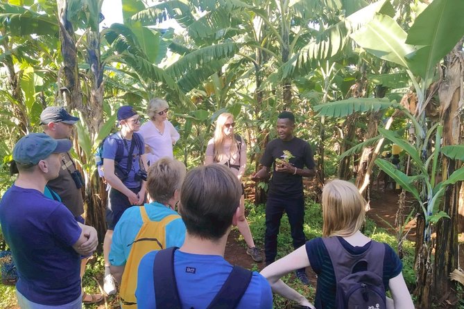 Coffee Tour Experience - A village experience near Sipi Falls