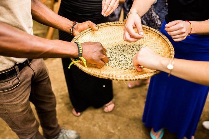 Coffee Tour Experience from Arusha - Key points to know before booking