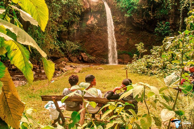 Coffee Tour Experience from Arusha - Why Arabica grows well around Arusha