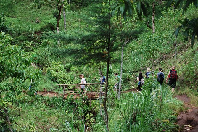 Coffee Tour Experience from Arusha - The personal touch matters here