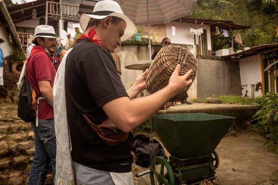 Coffee Tour from Medellin with Lunch and Coffee Tasting - Should you book the San Sebastián de Palmitas coffee tour?