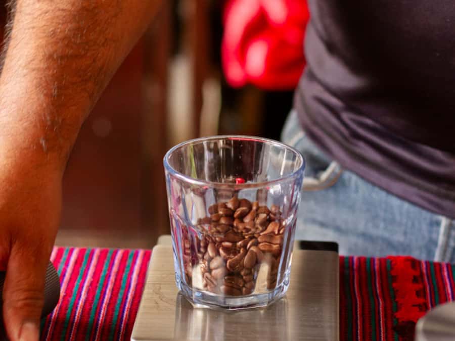 Coffee Tour in Antigua Guatemala - Views, agriculture, and the route near Antigua